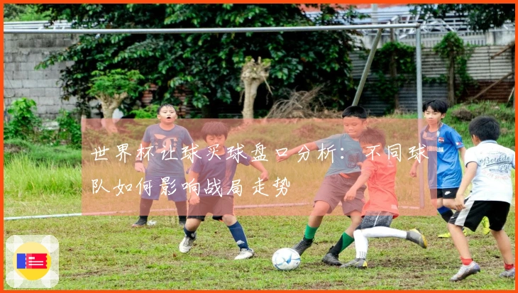 世界杯让球买球盘口分析：不同球队如何影响战局走势