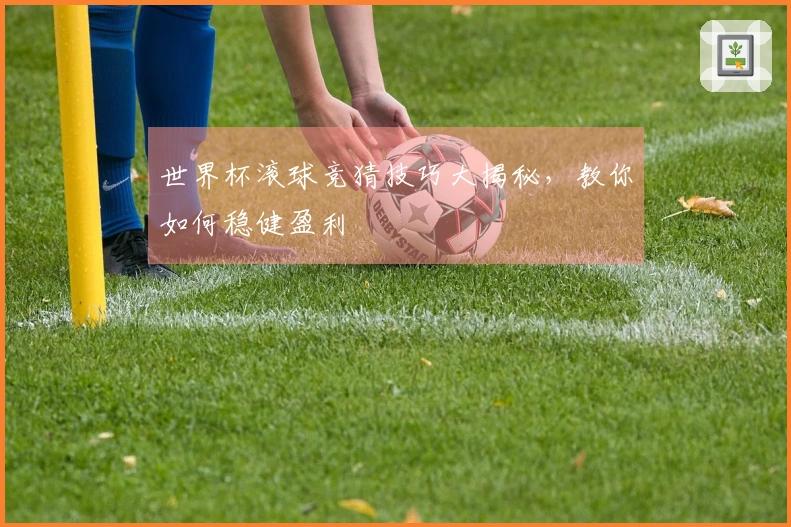 世界杯滚球竞猜技巧大揭秘，教你如何稳健盈利
