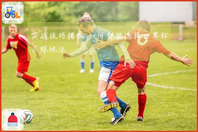 实战技巧揭秘 如何智能选择世界杯买球玩法