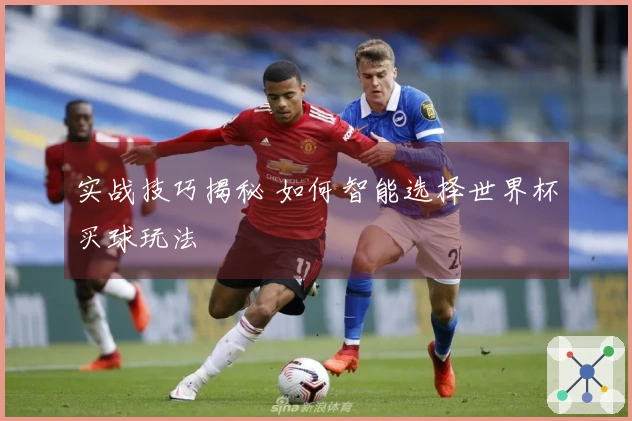 实战技巧揭秘 如何智能选择世界杯买球玩法