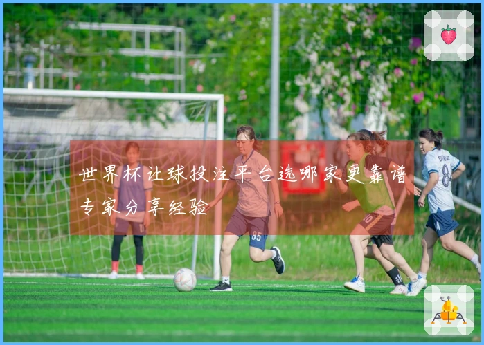 世界杯让球投注平台选哪家更靠谱专家分享经验