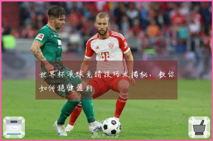 世界杯滚球竞猜技巧大揭秘，教你如何稳健盈利