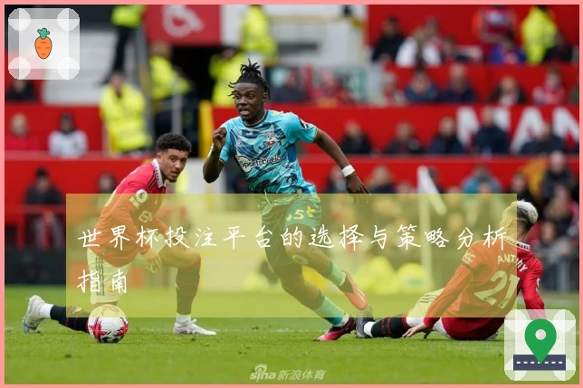 世界杯投注平台的选择与策略分析指南