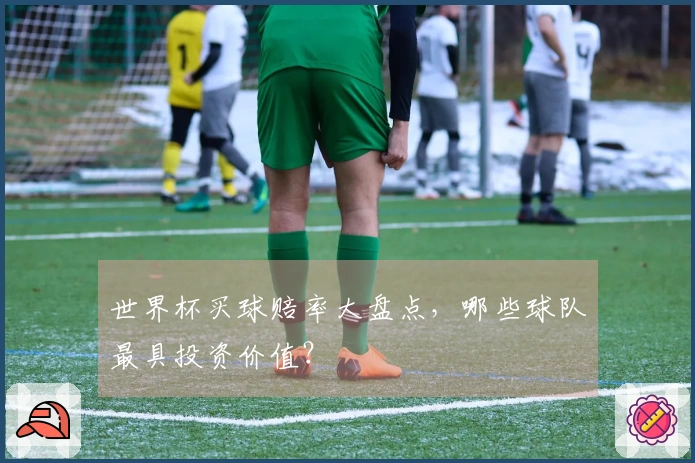 世界杯买球赔率大盘点，哪些球队最具投资价值？
