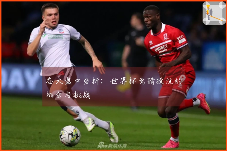 各大盘口分析：世界杯竞猜投注的机会与挑战