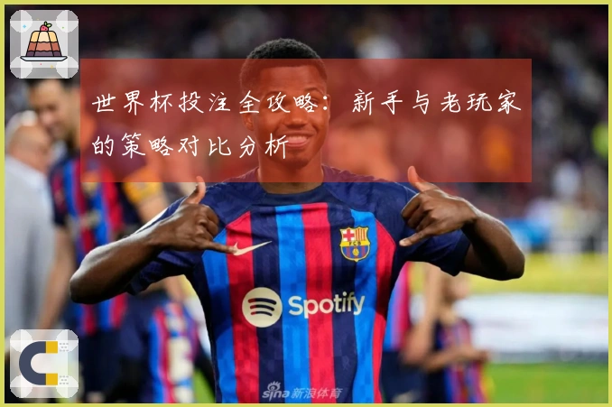 世界杯投注全攻略：新手与老玩家的策略对比分析