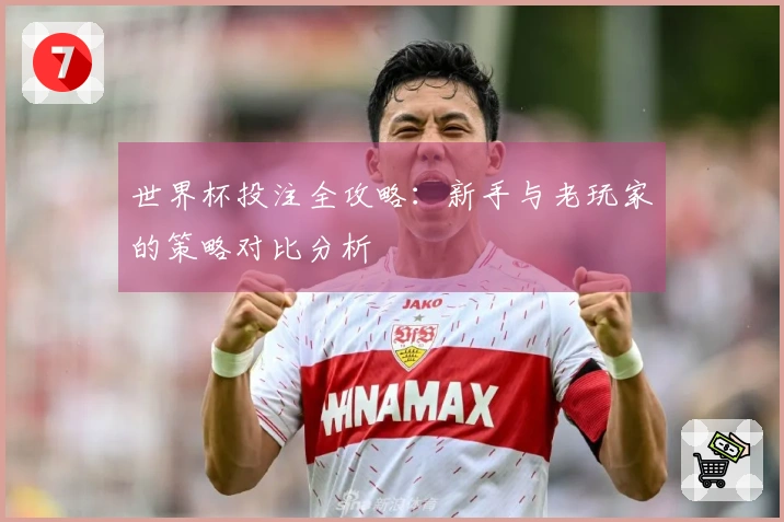 世界杯投注全攻略：新手与老玩家的策略对比分析